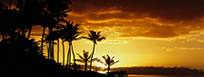 Hawaiian cruise packages in Maui